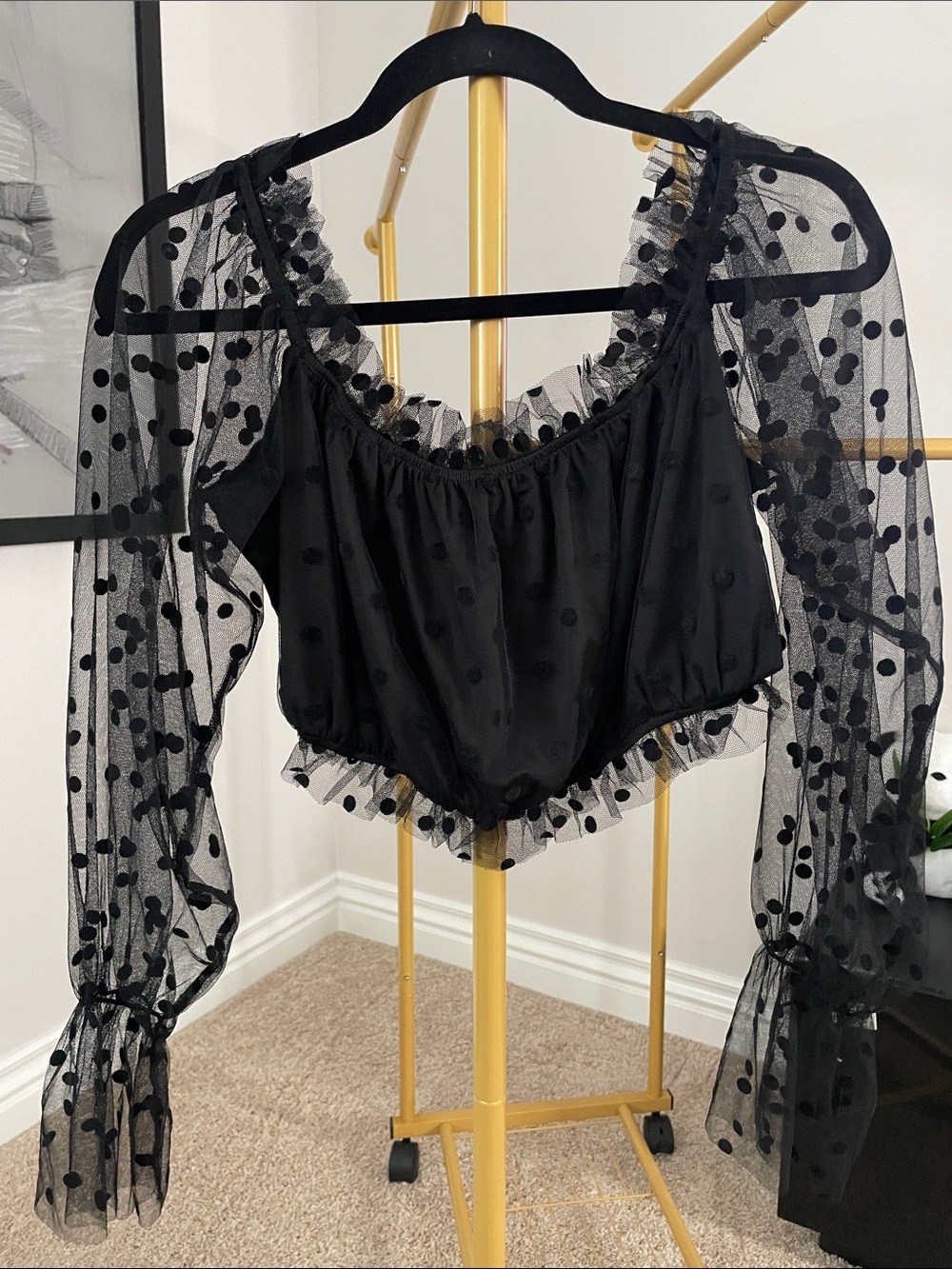 Sheer Polka Dot Mesh Puff Sleeve Crop Top - Black